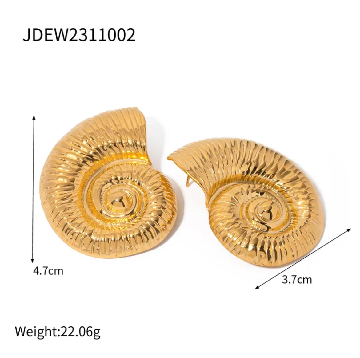 Sea Shell