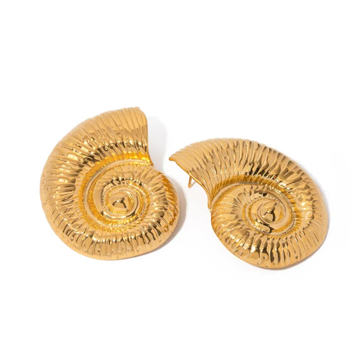 Sea Shell